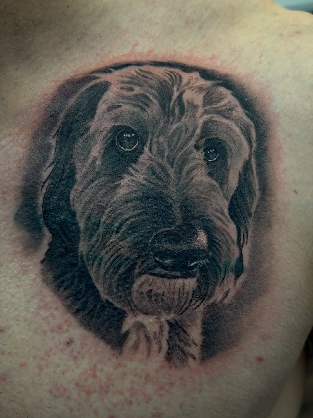 Tattoo by @ibleedink_tattoos โ realism, black_and_grey