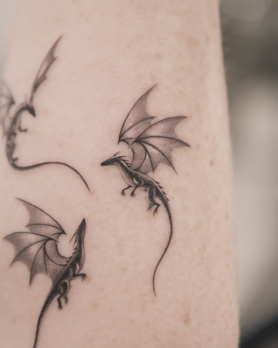 Tattoo by @joeysneedle — fine_line, illustrative
