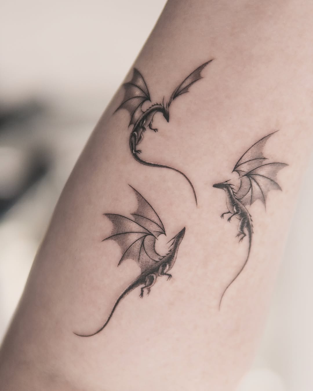 Tattoo by @joeysneedle — fine_line, illustrative
