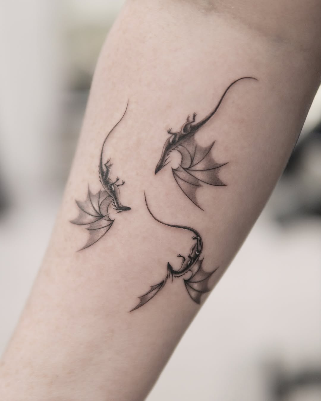 Tattoo by @joeysneedle — fine_line, illustrative