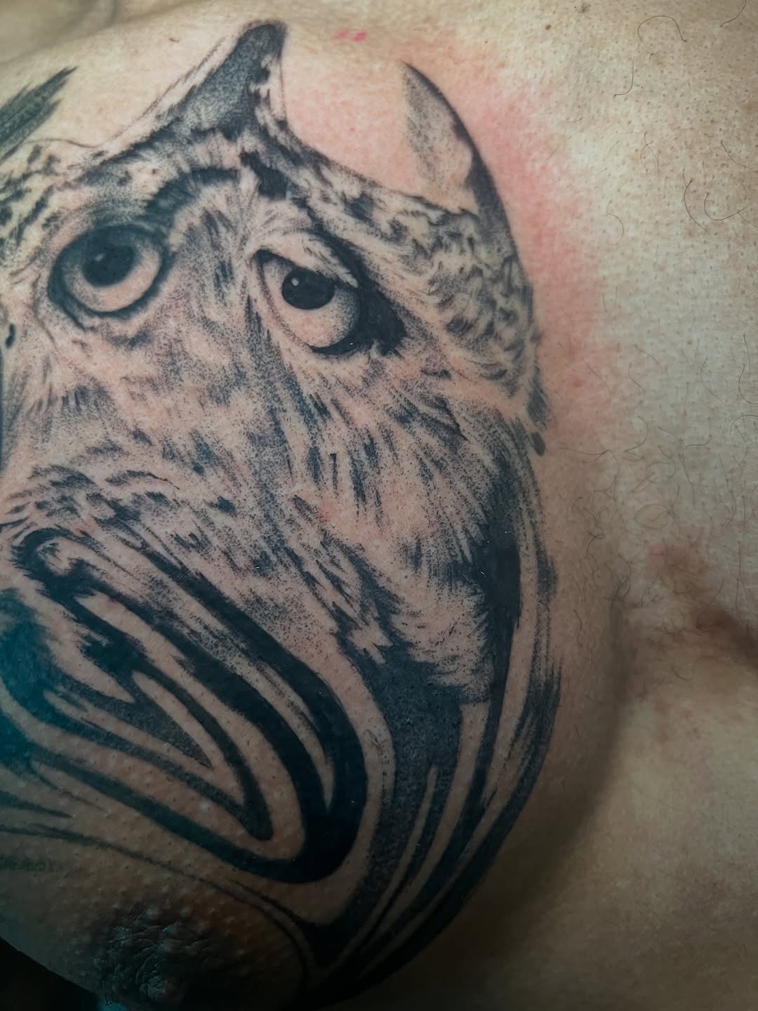Tattoo by @smokesart — realism, black_and_grey