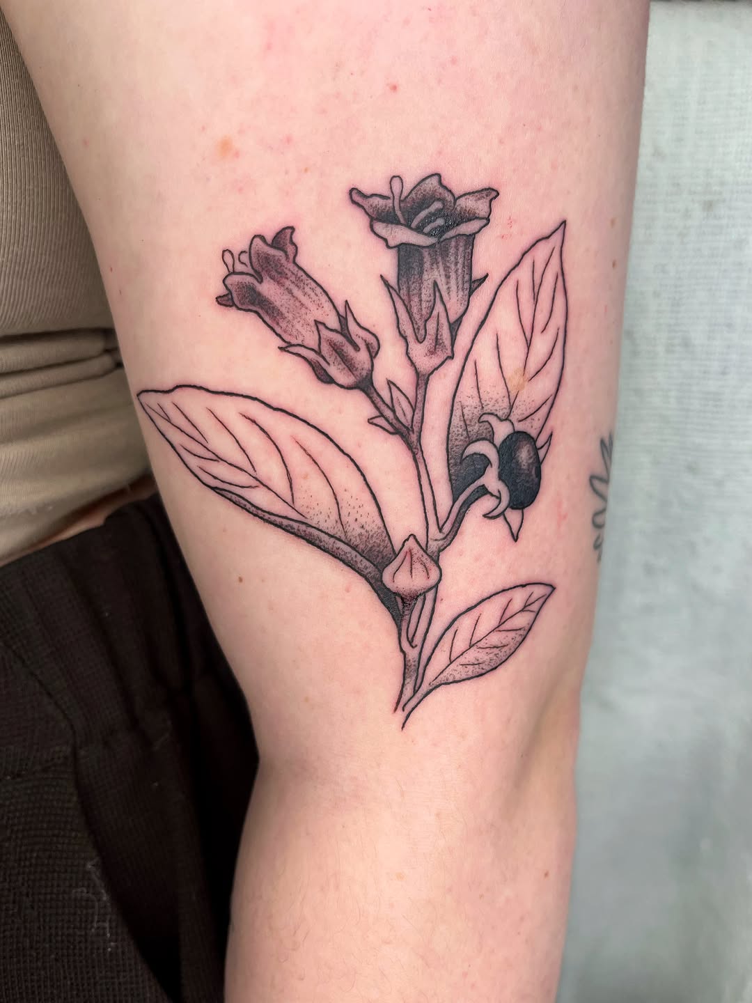 Tattoo by @maris_hare — black_and_grey