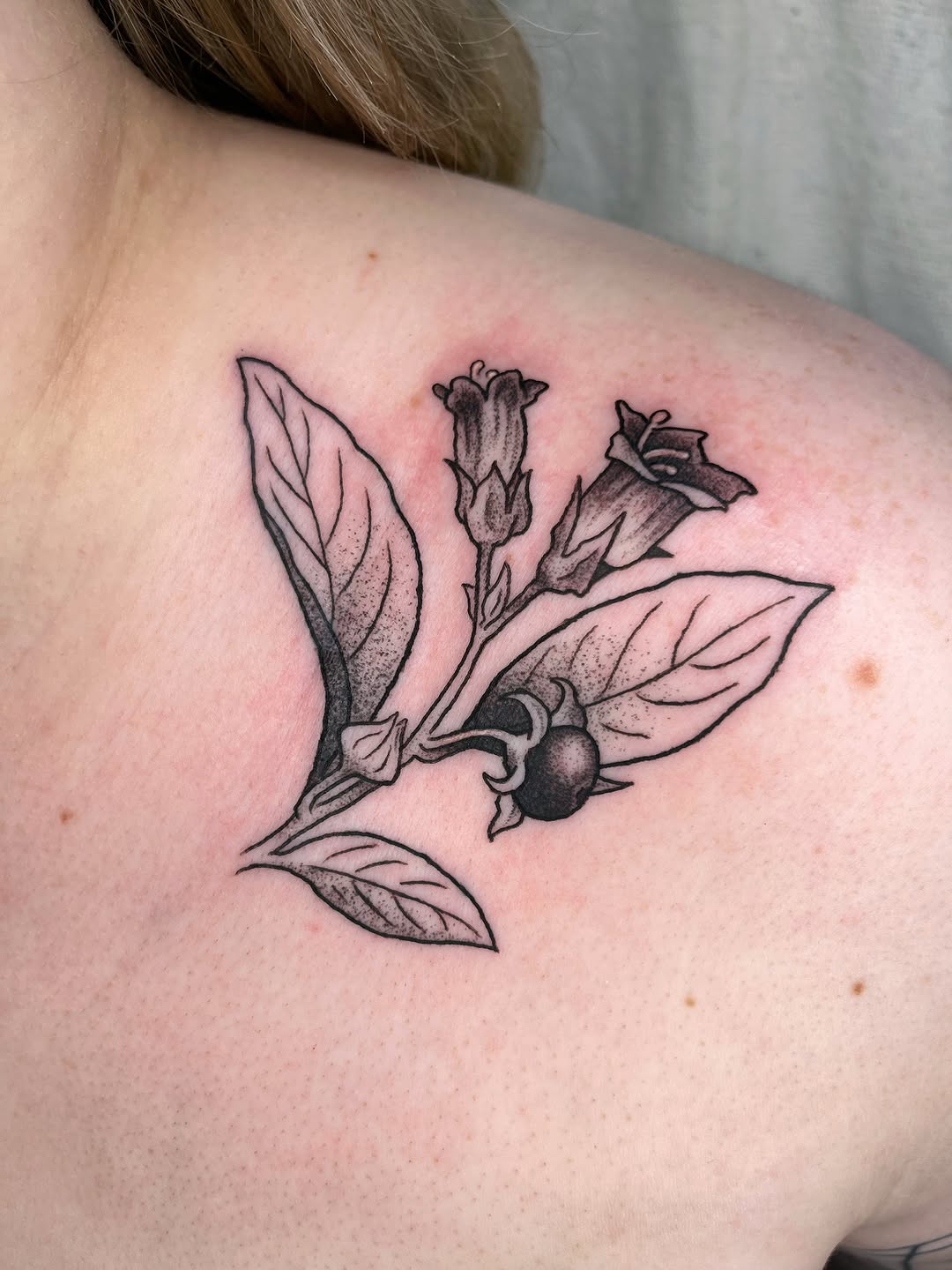 Tattoo by @maris_hare — black_and_grey
