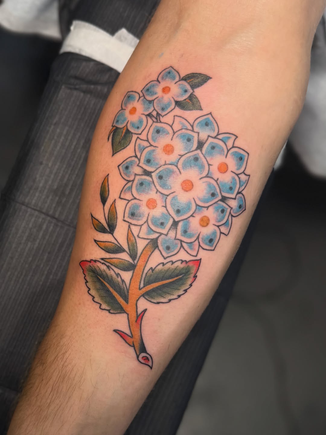 Tattoo by @devin_and_helltattoos — american_traditional