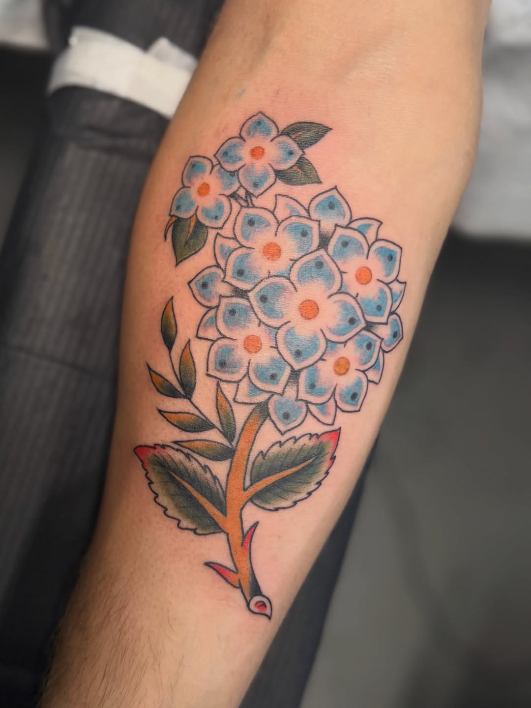 Tattoo by @devin_and_helltattoos — american_traditional