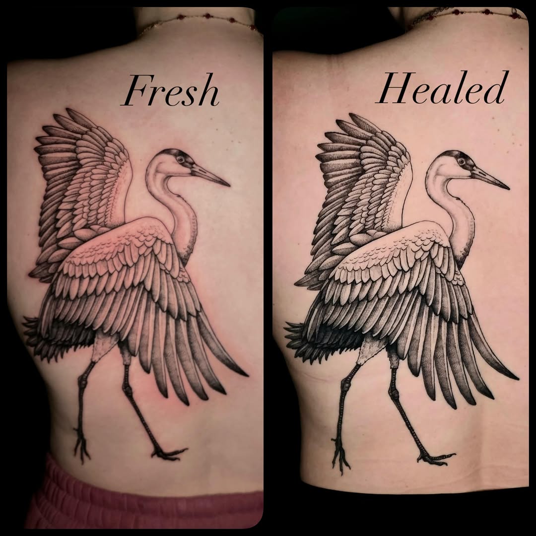 Tattoo by @dehoyosink — black_and_grey, illustrative