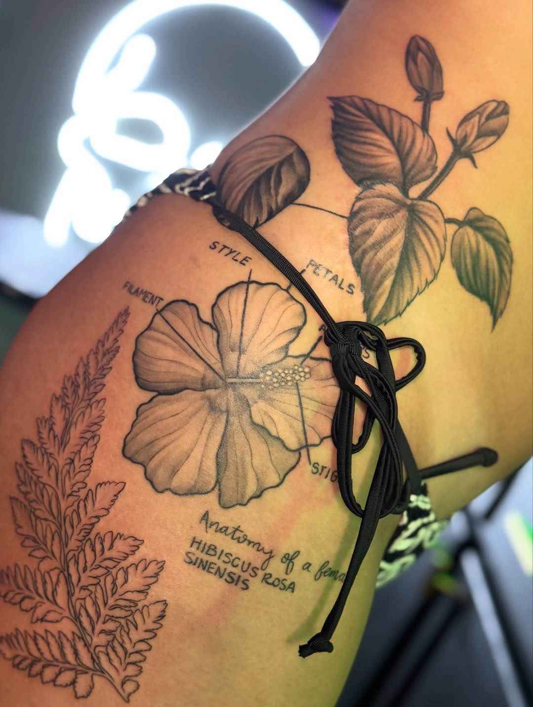 Tattoo by @lilymyriatattoos — illustrative, black_and_grey