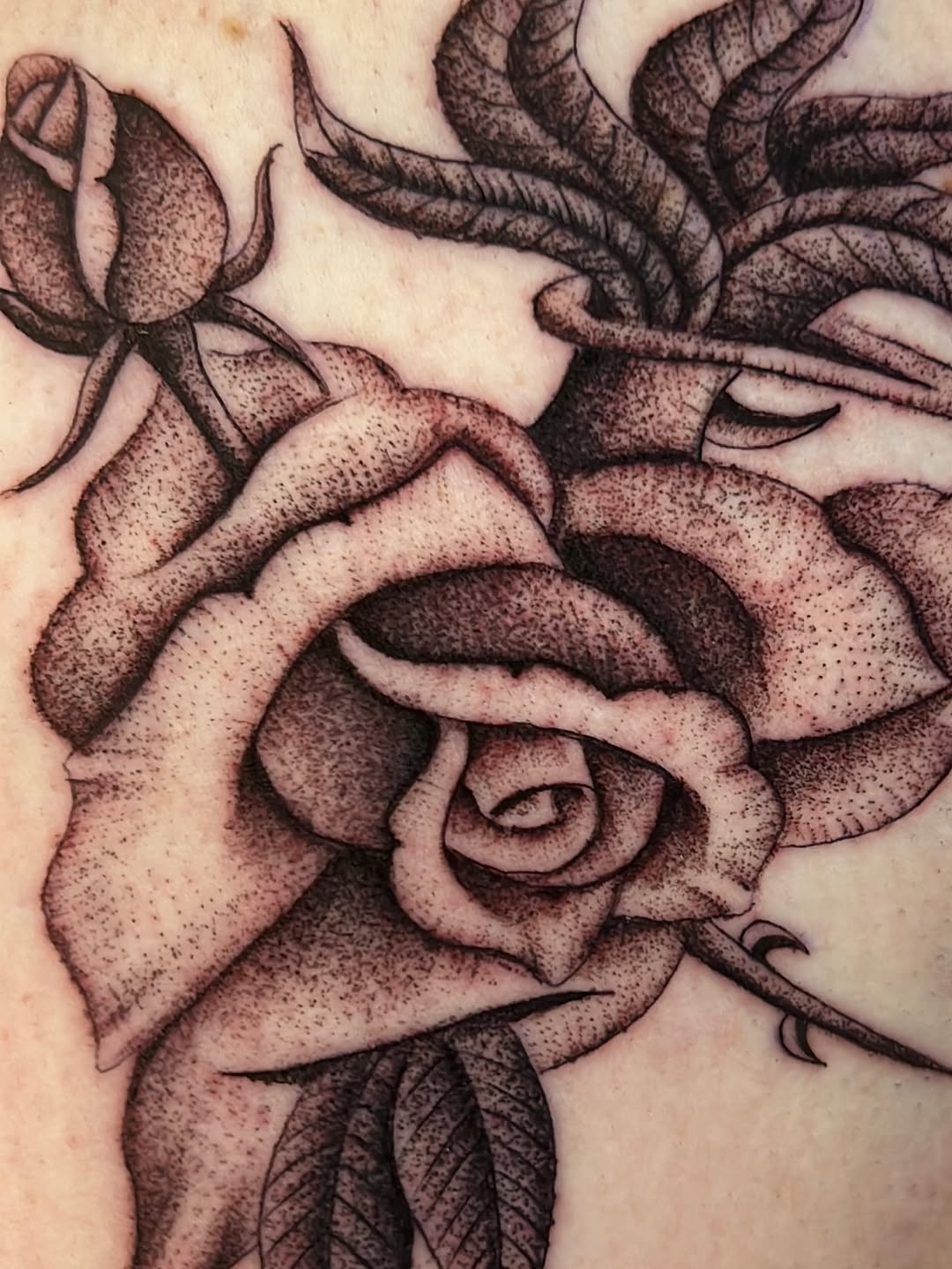 Tattoo by @gloomlacruz — dotwork, black_and_grey
