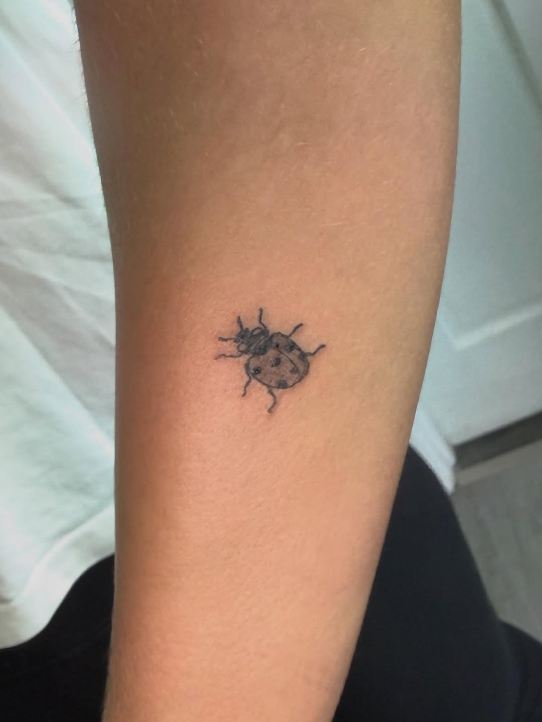Tattoo by @ink.by.emma — fine_line, black_and_grey