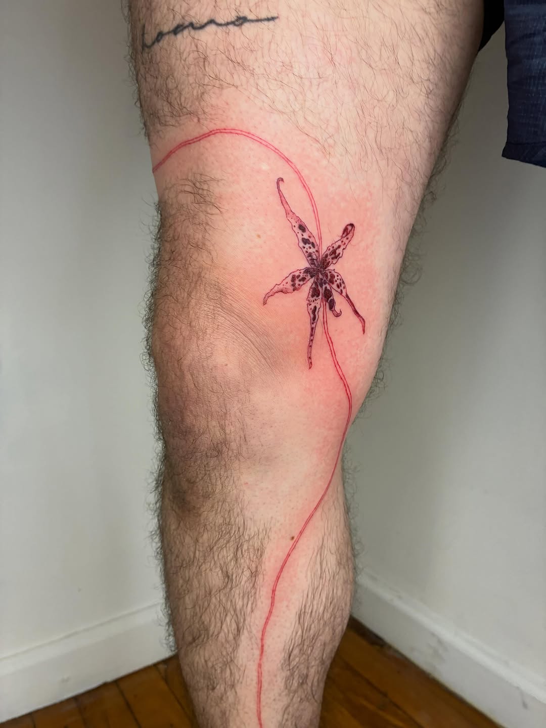Tattoo by @geisha_ocelotl — fine_line, illustrative