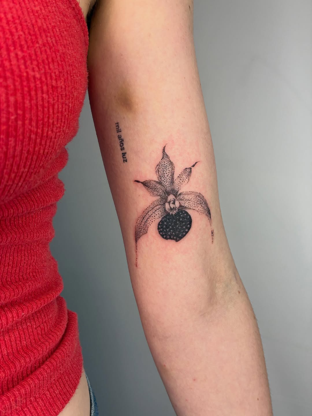 Tattoo by @geisha_ocelotl — dotwork, illustrative