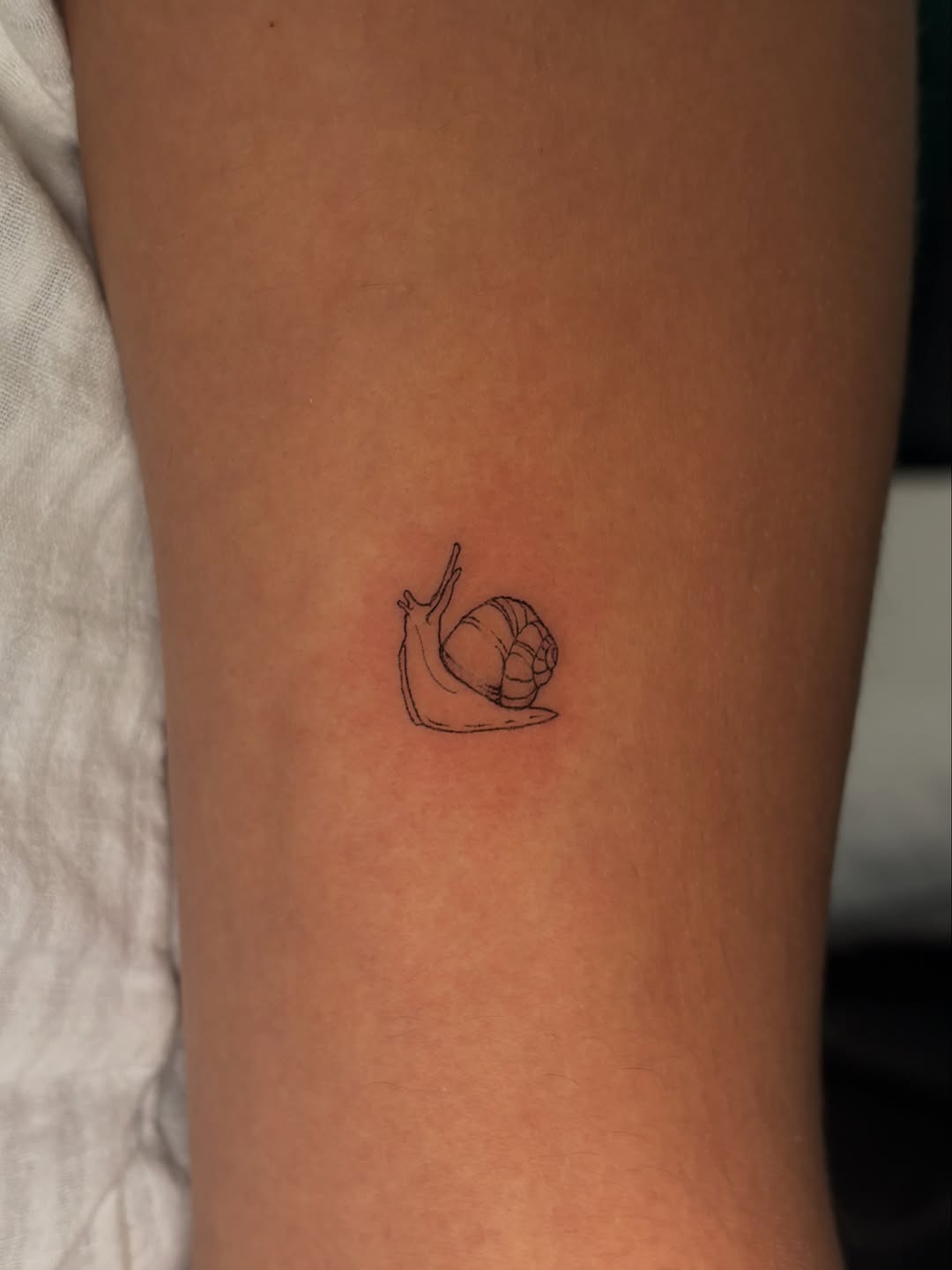 Tattoo by @chloeshaytattoo — fine_line
