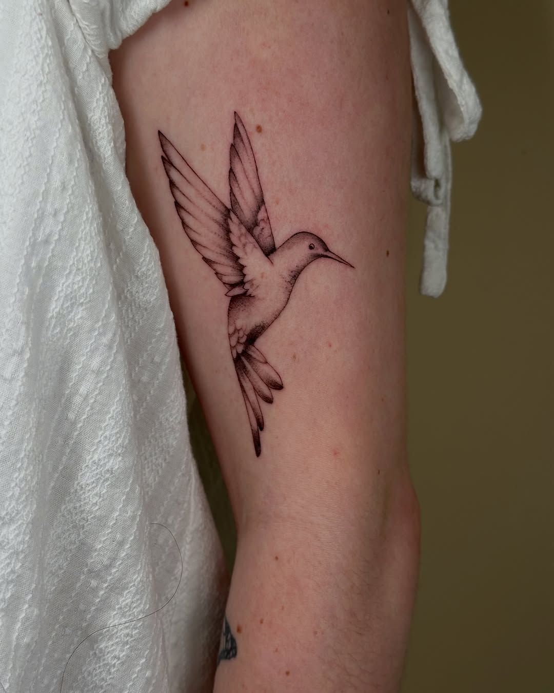 Tattoo by @slowhandstattoo — fine_line