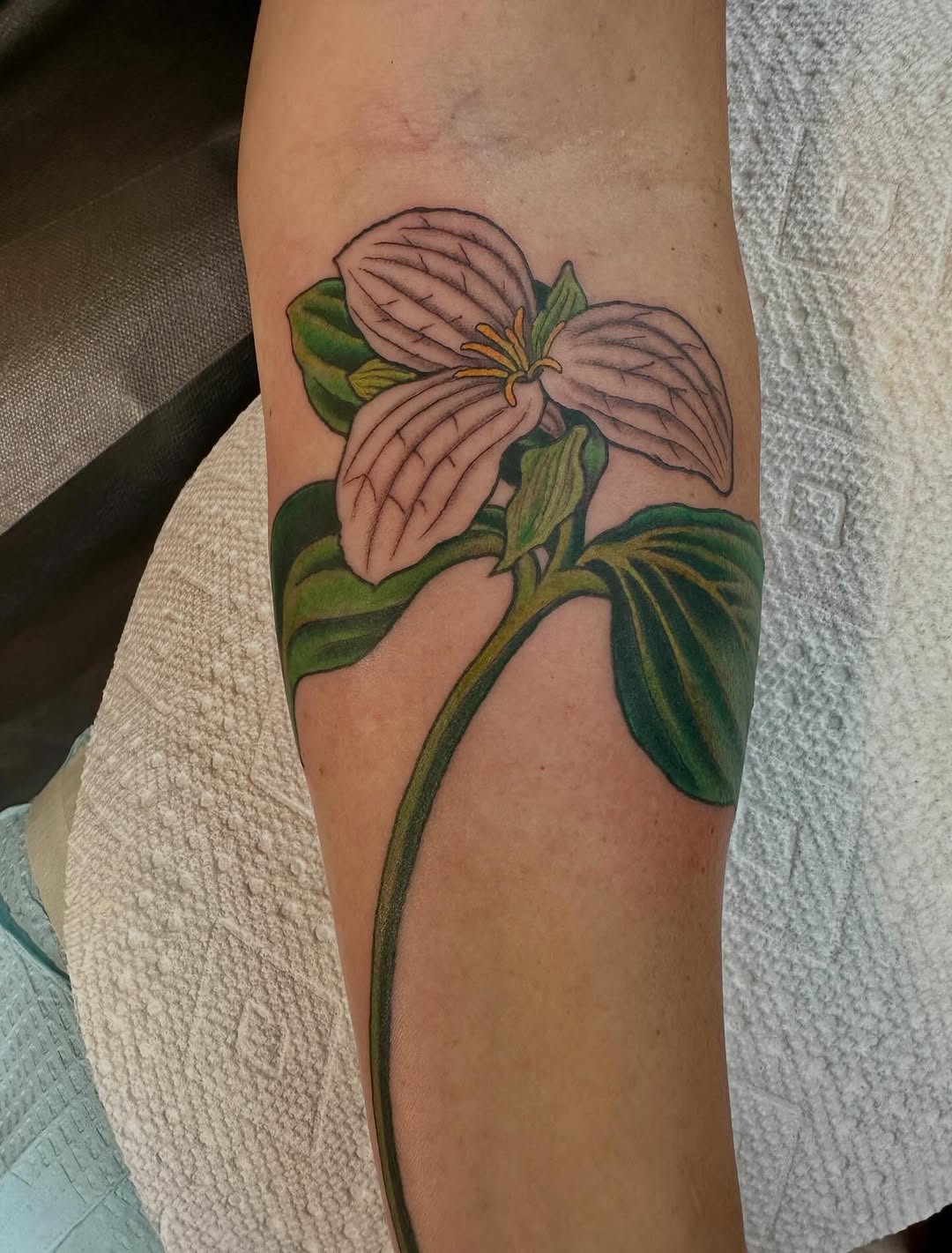 Tattoo by @rollhardy — realism, fine_line