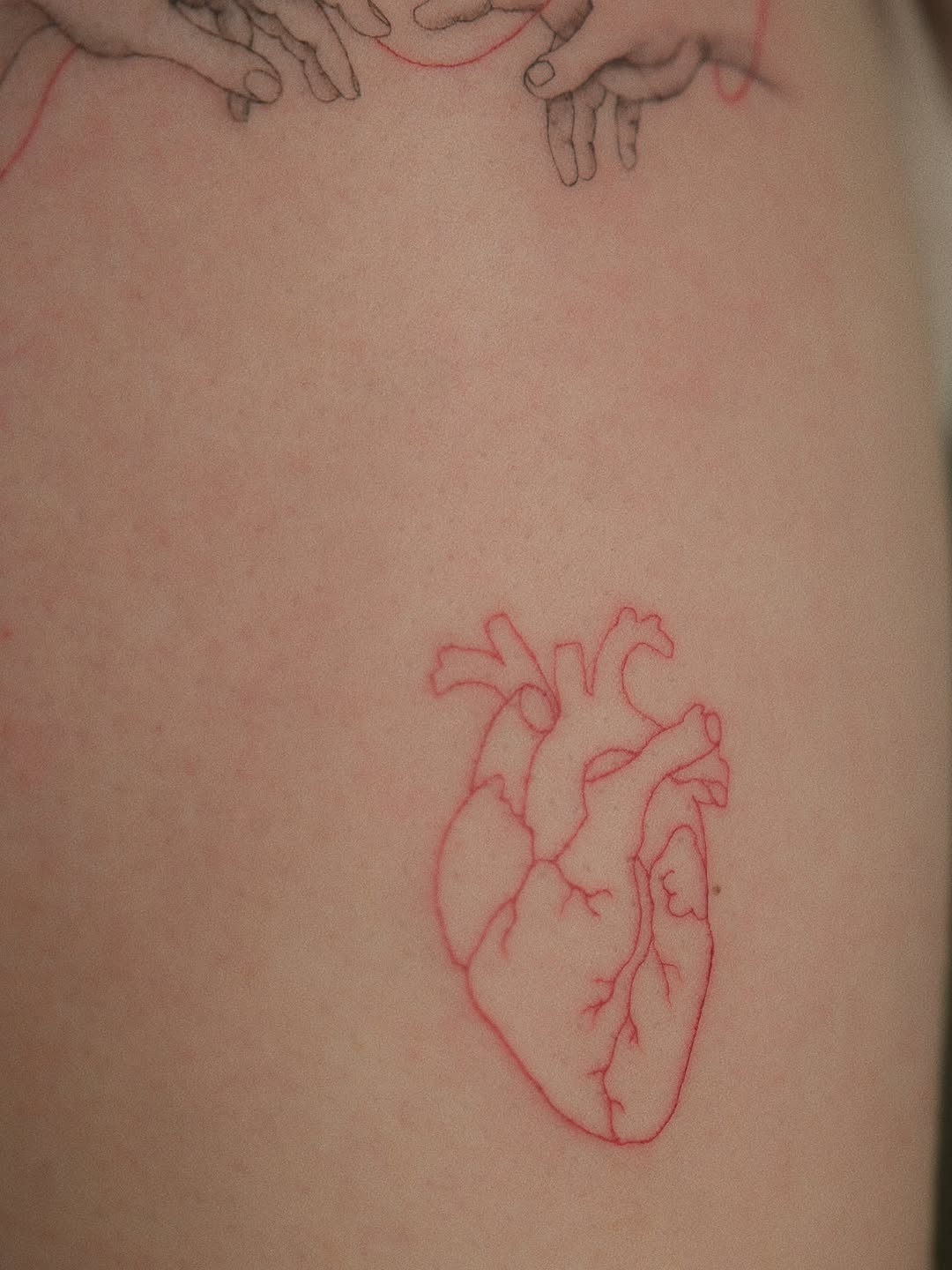 Tattoo by @auras.tattoos — fine_line