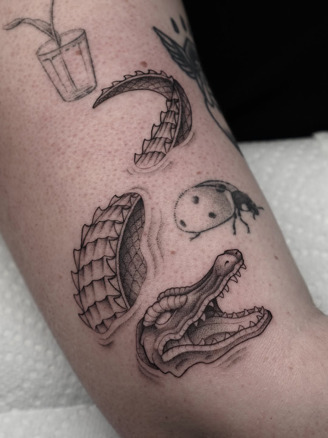 Tattoo by @carlosthebarloswarlos_ — illustrative, black_and_grey