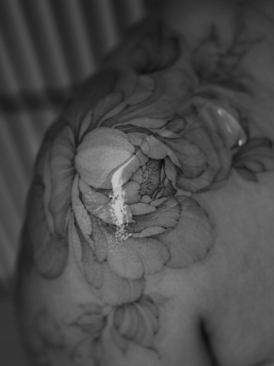 Tattoo by @vxn.ink — black_and_grey, realism