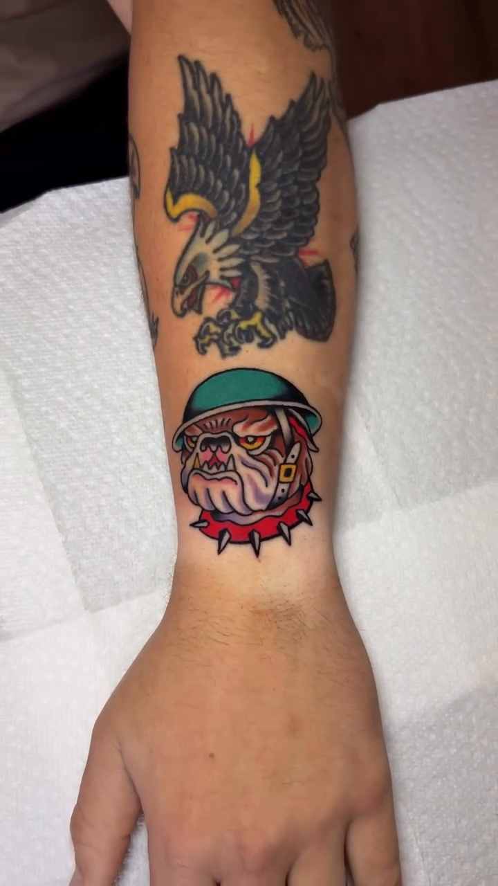 Tattoo by @squidripz — american_traditional, illustrative