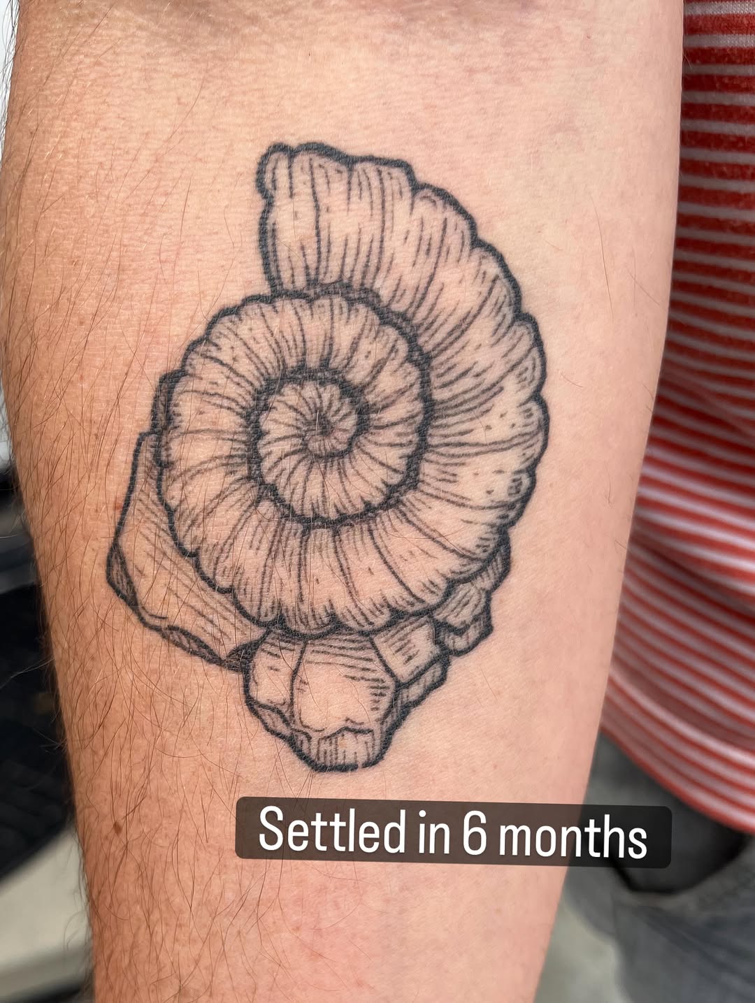 Tattoo by @vincent_espinoza_tattoo — black_and_grey, realism