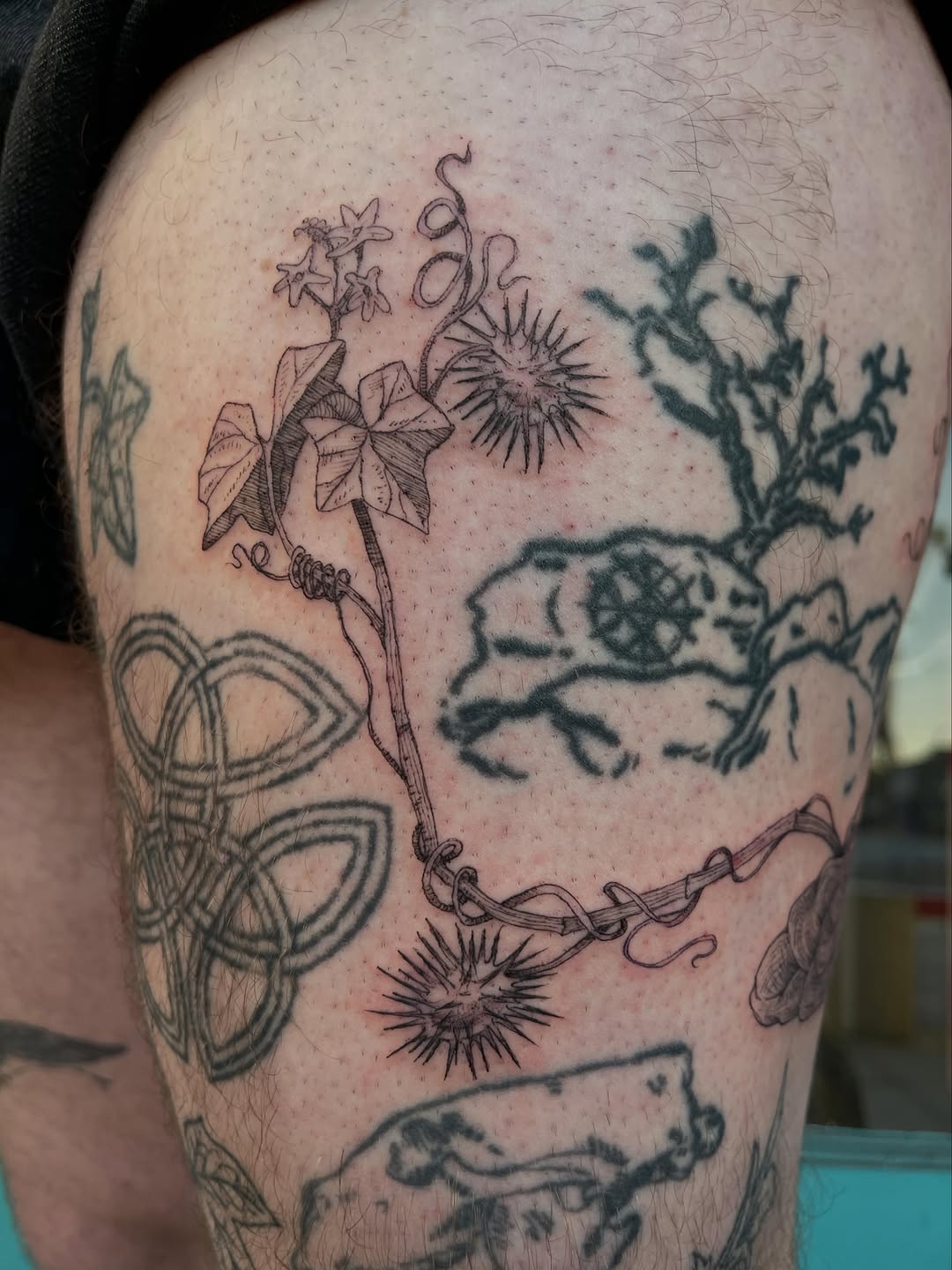 Tattoo by @pineneedlestattoo — illustrative, black_and_grey