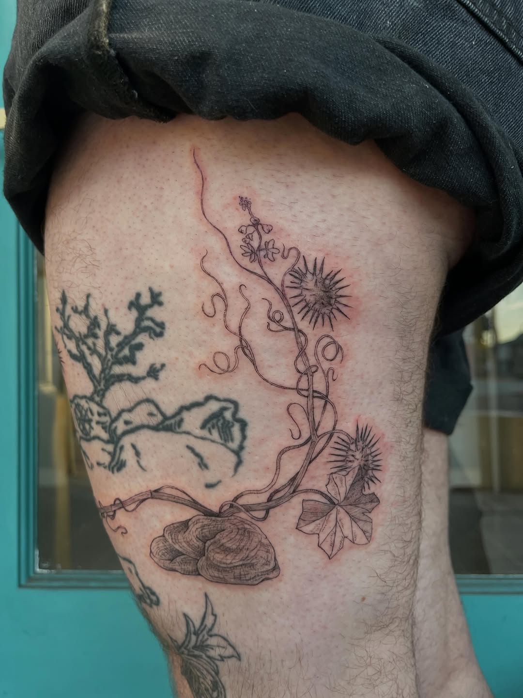 Tattoo by @pineneedlestattoo — fine_line, illustrative