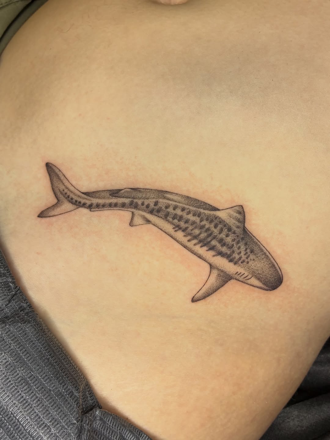 Tattoo by @shark_boy_tattoos โ illustrative, dotwork