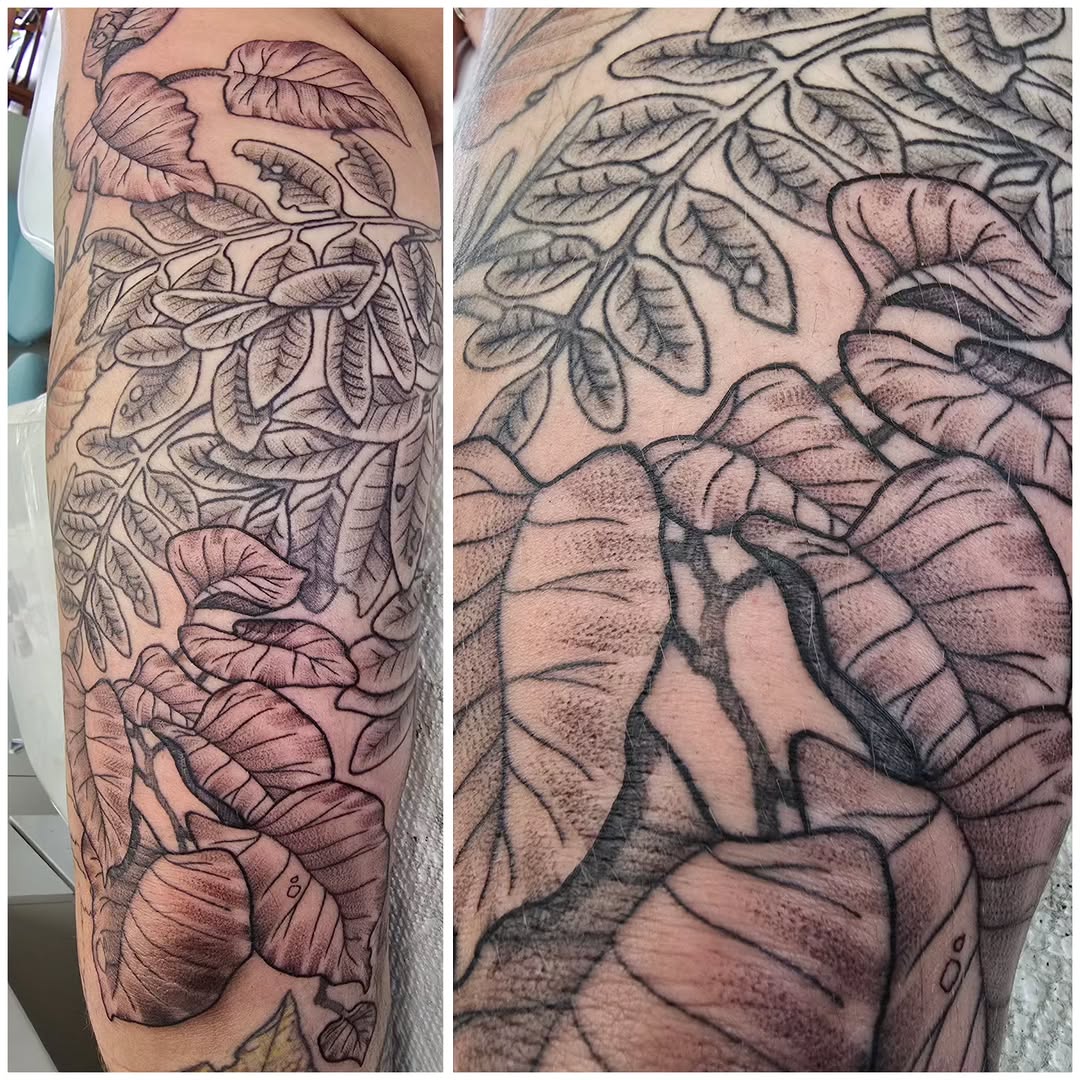 Tattoo by @catsclawtattoo — black_and_grey, realism