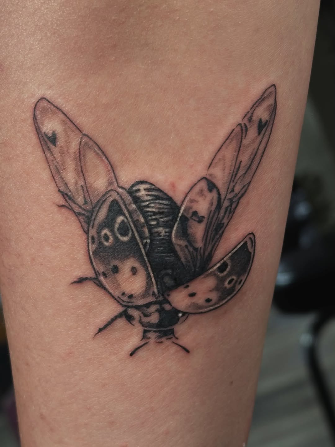 Tattoo by @bogwitchtattoos — realism, black_and_grey