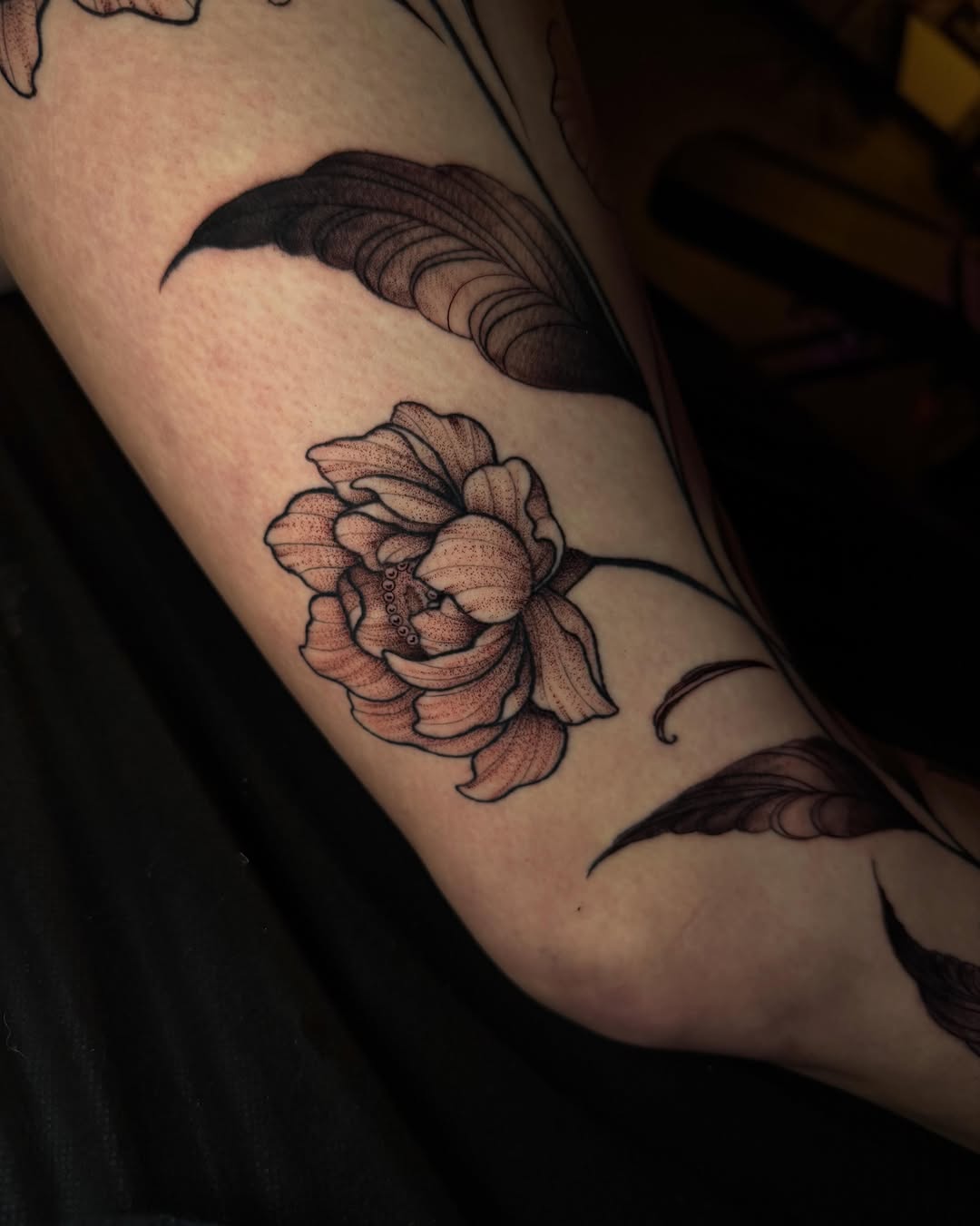 Tattoo by @lyssa_jtattoo — dotwork, black_and_grey
