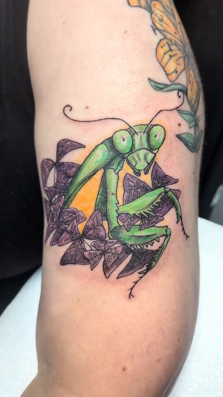 Tattoo by @druidloutattoo — neo_traditional
