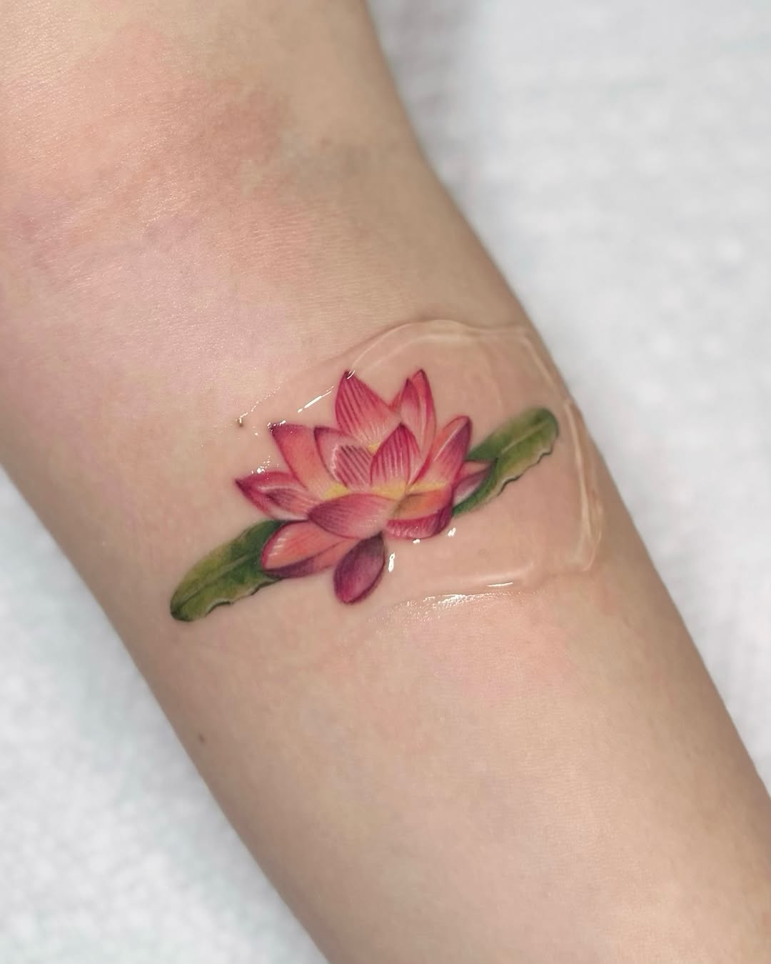 Tattoo by @av1.ink — realism, illustrative