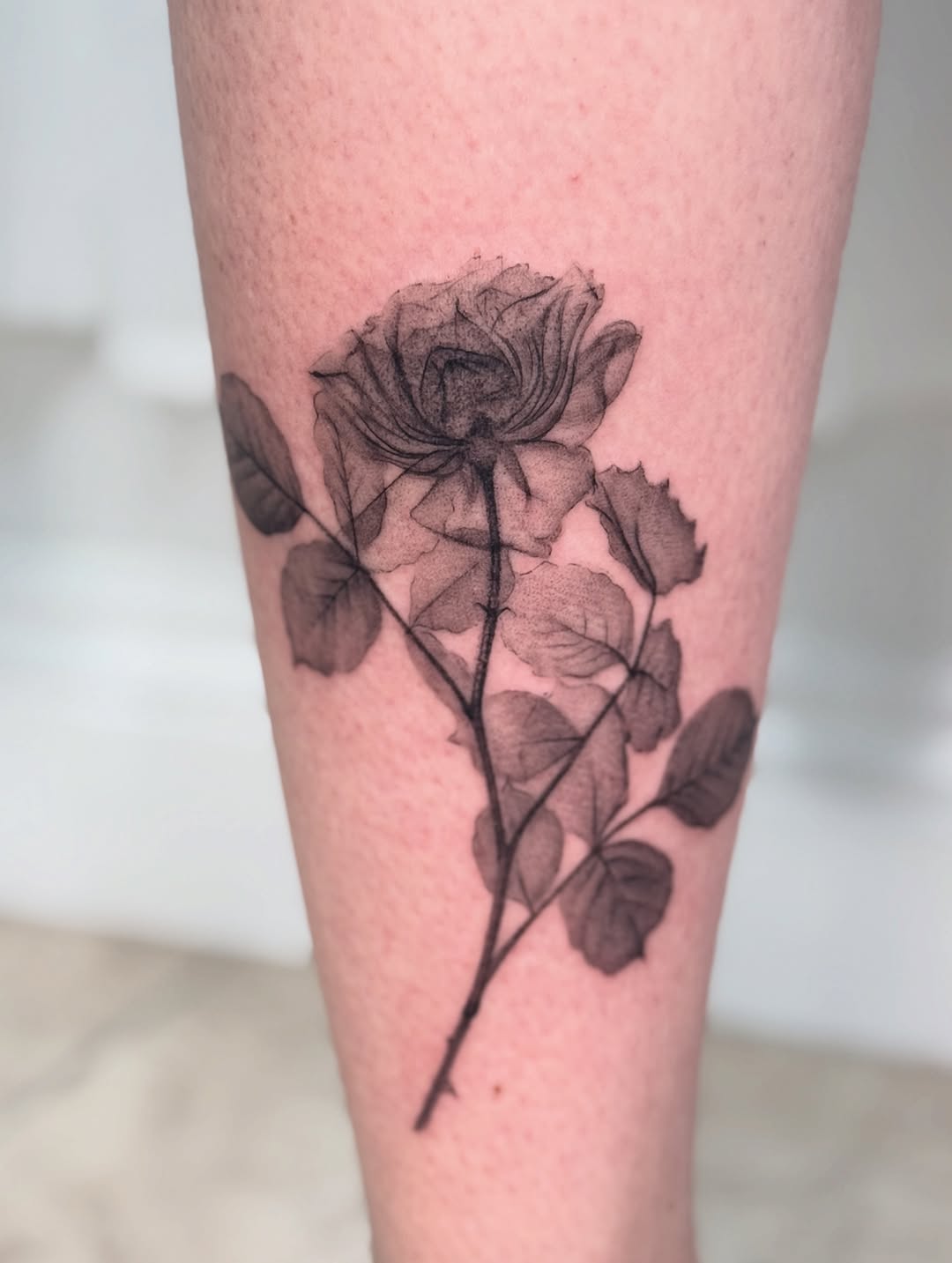 Tattoo by @inkdbyjasmine — black_and_grey, illustrative