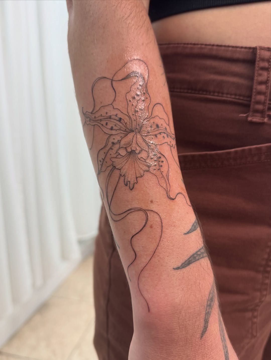 Tattoo by @inkdbyjasmine — fine_line, illustrative