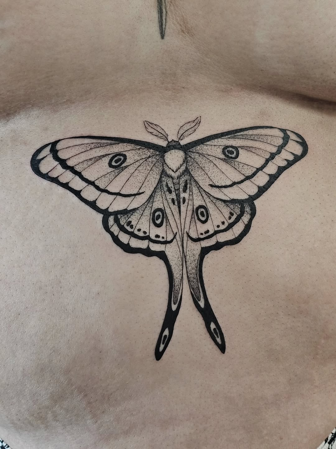 Tattoo by @tattoosbykylie โ illustrative, dotwork