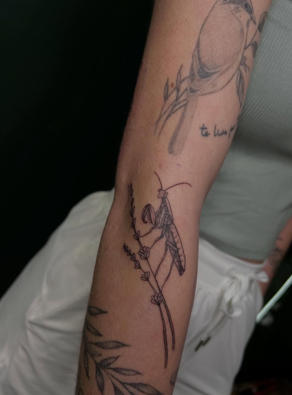 Tattoo by @tattoosbyrach — fine_line