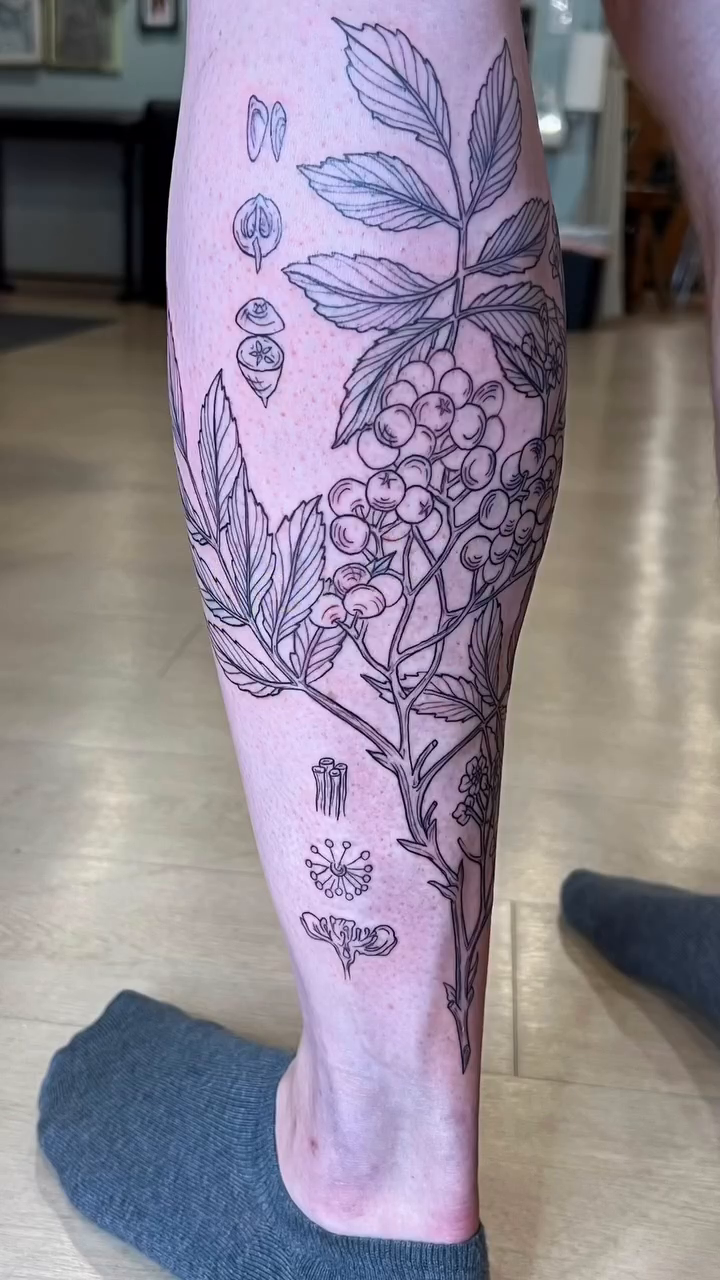 Tattoo by @jessica_kloostattoos — illustrative, fine_line