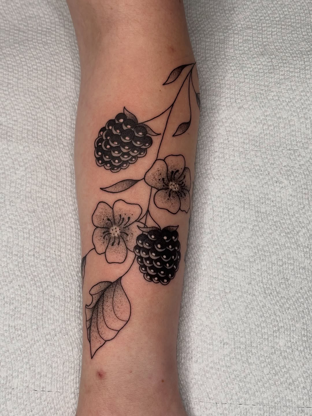 Tattoo by @kyshae.tattoos — illustrative, black_and_grey