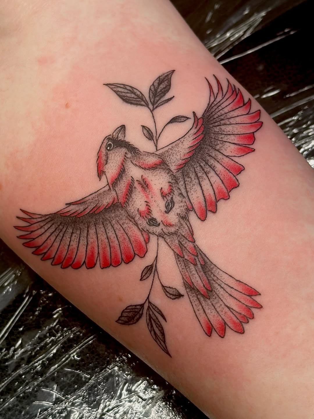 Tattoo by @cryptidtattooer — fine_line, illustrative