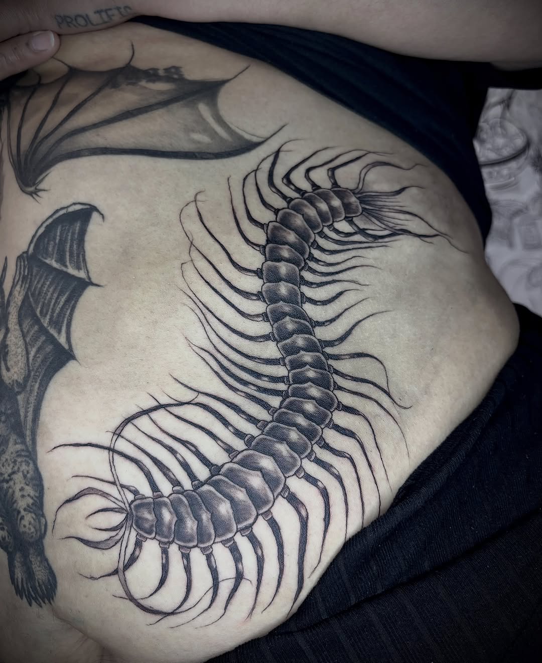 Tattoo by @loopytatz — blackwork