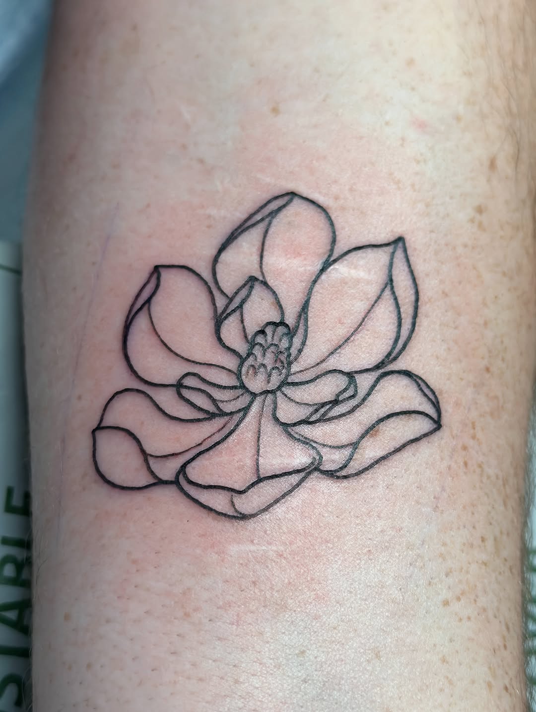 Tattoo by @gabymariatattoo — fine_line