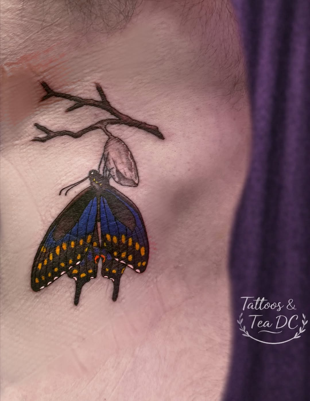 Tattoo by @tattoosandteadc — realism, illustrative