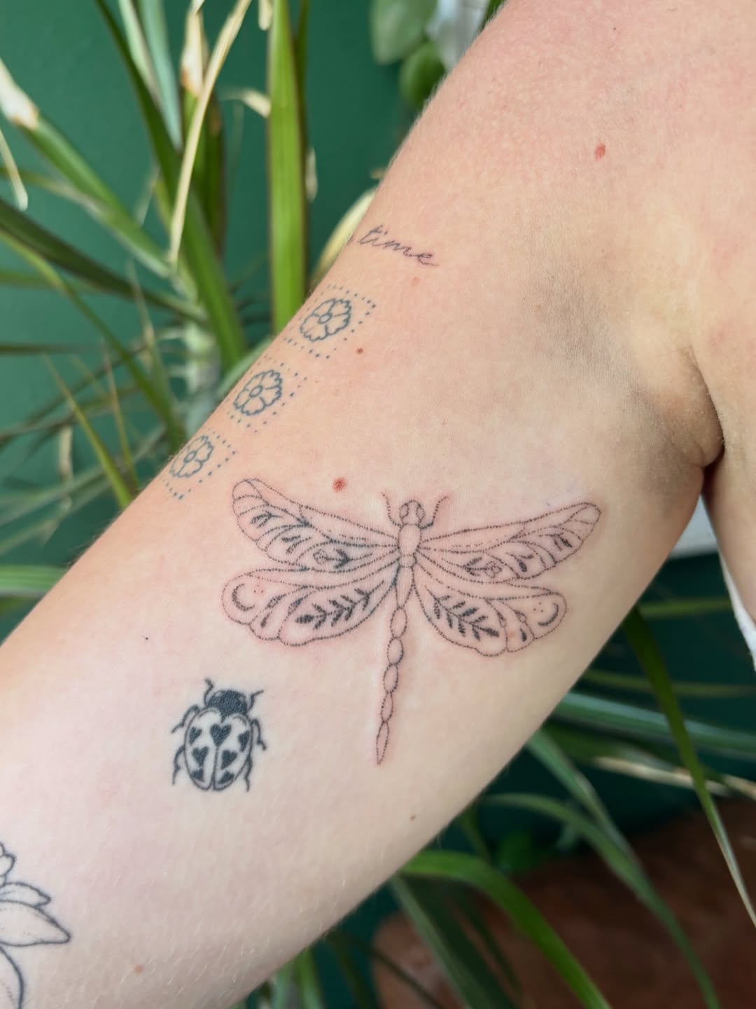 Tattoo by @seneca_studios — fine_line, illustrative