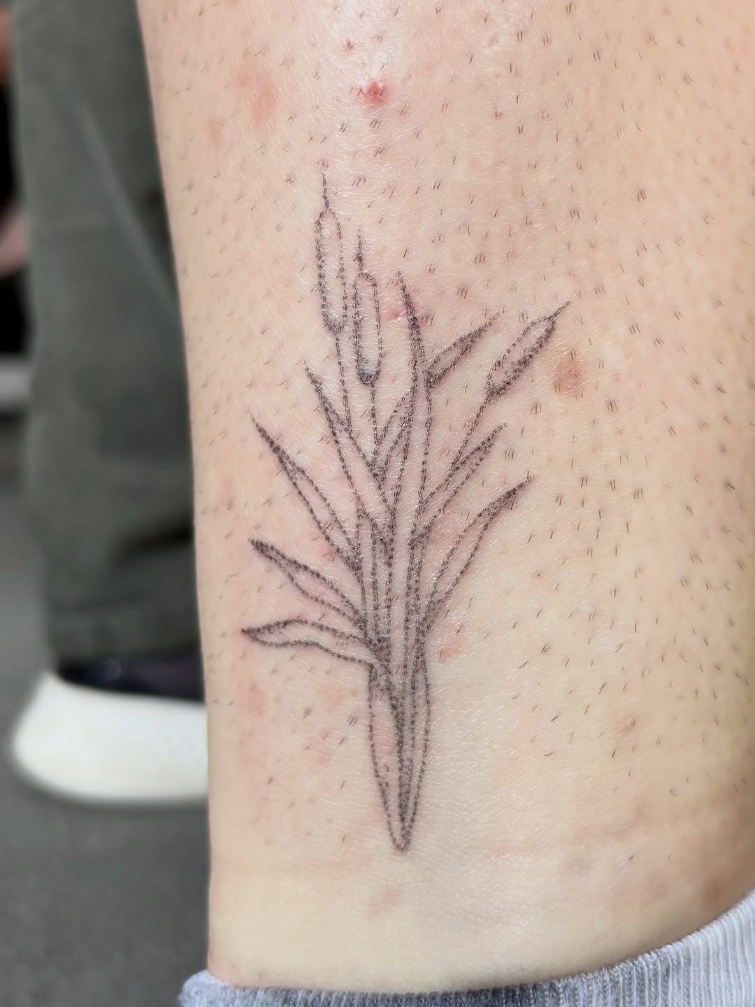 Tattoo by @seneca_studios — fine_line, illustrative