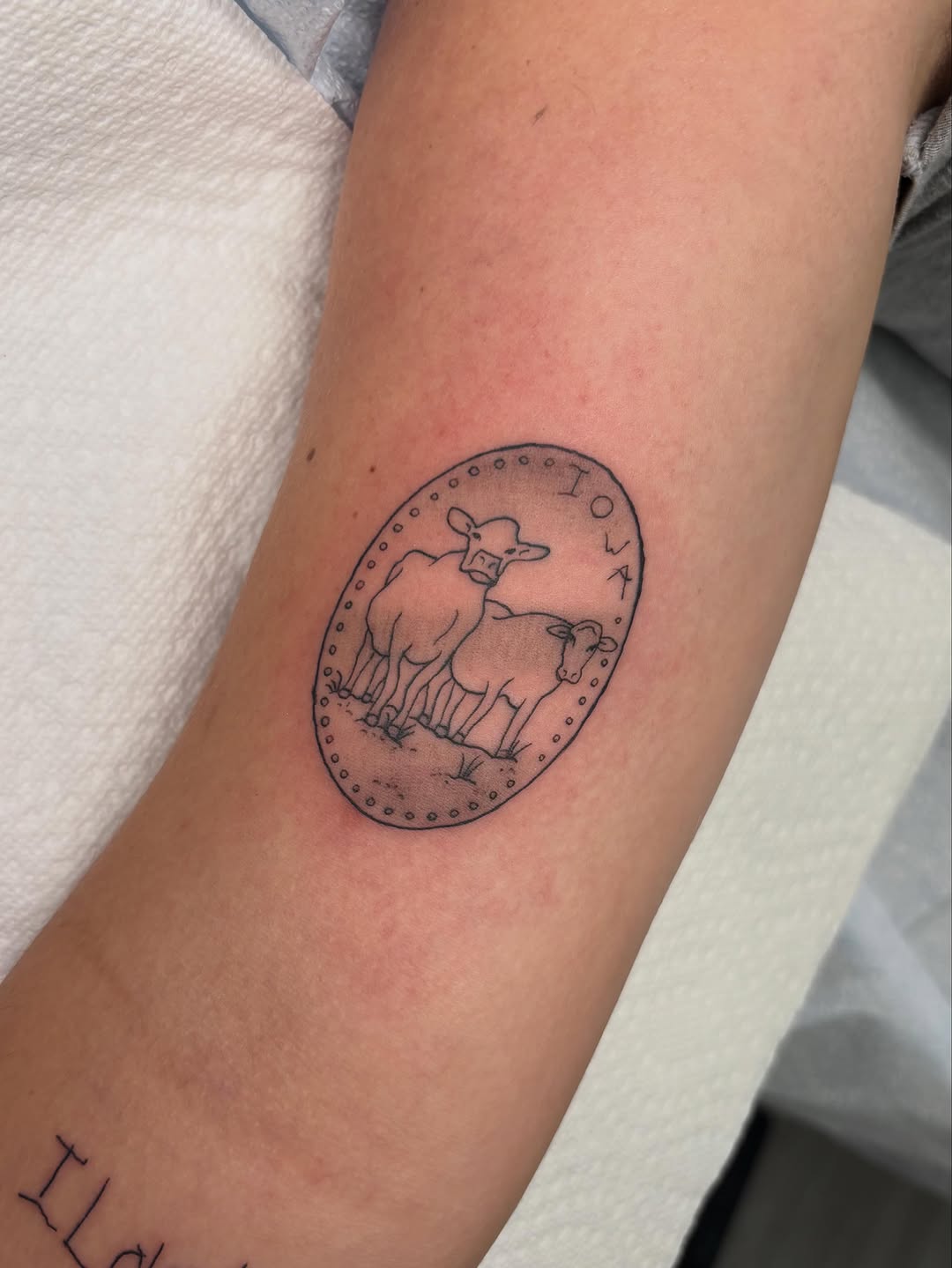 Tattoo by @heavychevytattoos — illustrative, black_and_grey