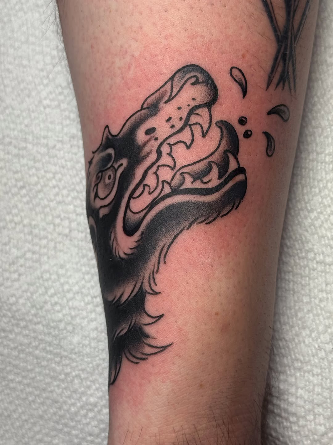 Tattoo by @ceilingham — american_traditional