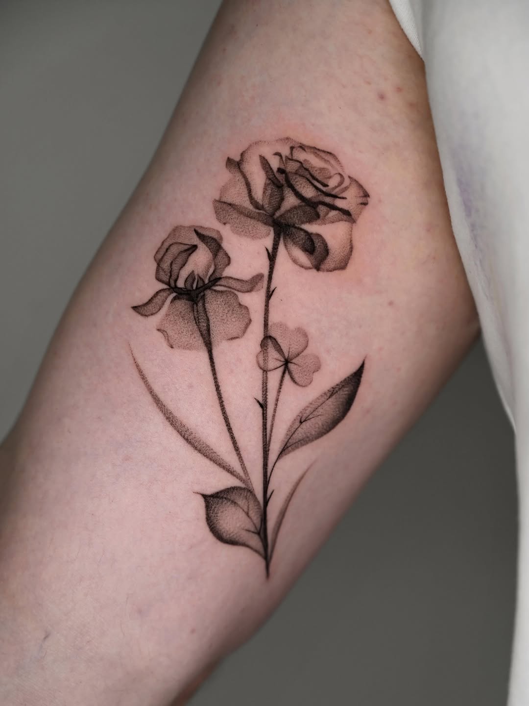 Tattoo by @domcozzaart — dotwork, black_and_grey