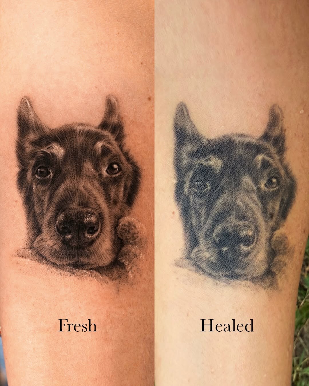 Tattoo by @tattooist_kimria — realism, black_and_grey