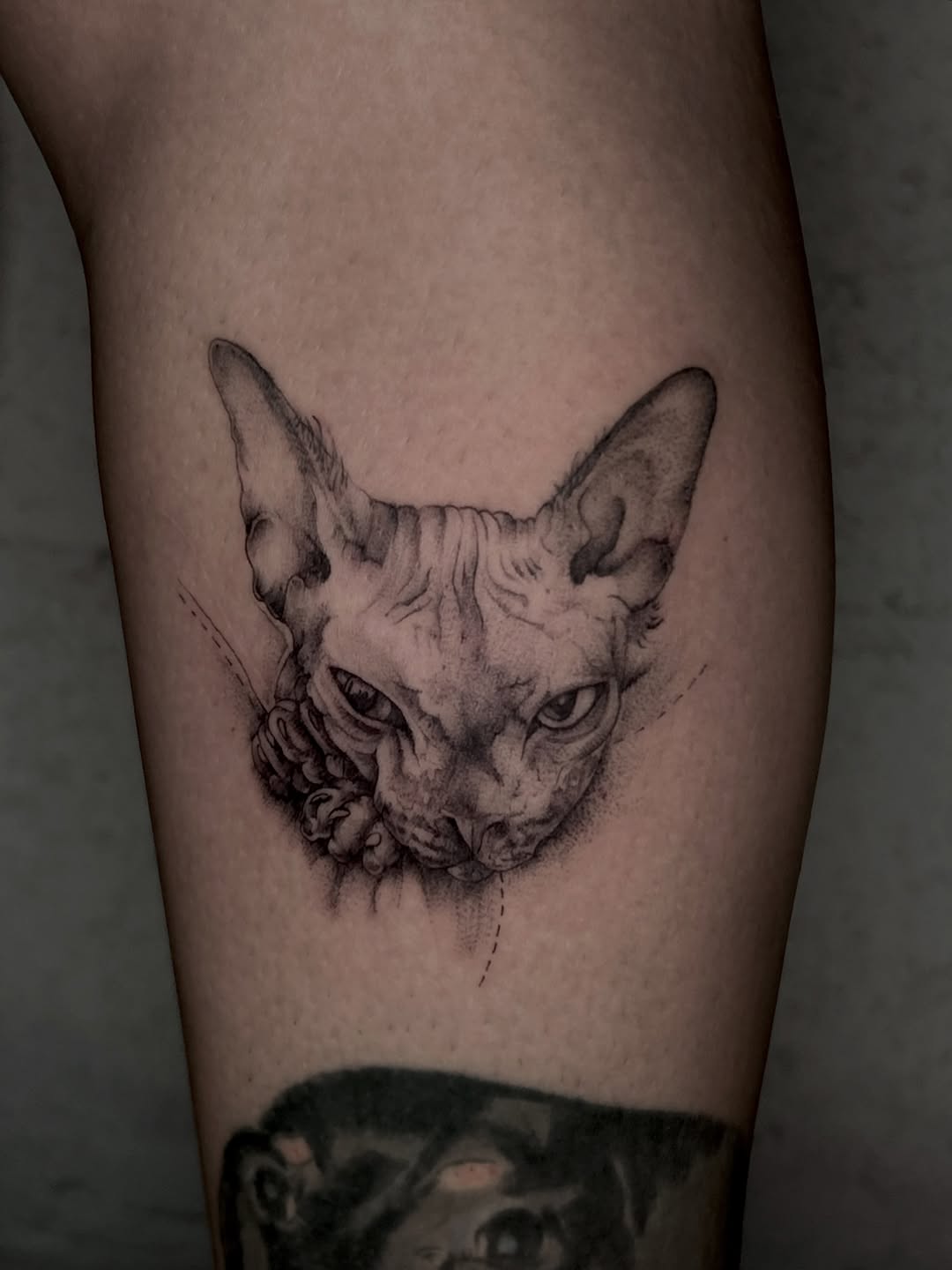 Tattoo by @la_diabhla — realism, dotwork