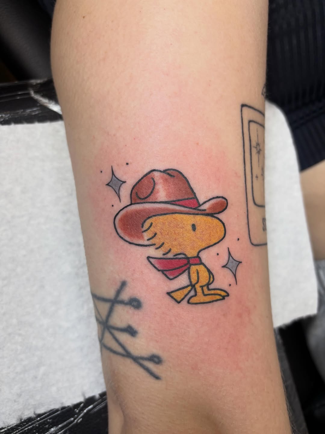 Tattoo by @malia_tattoos — illustrative, new_school