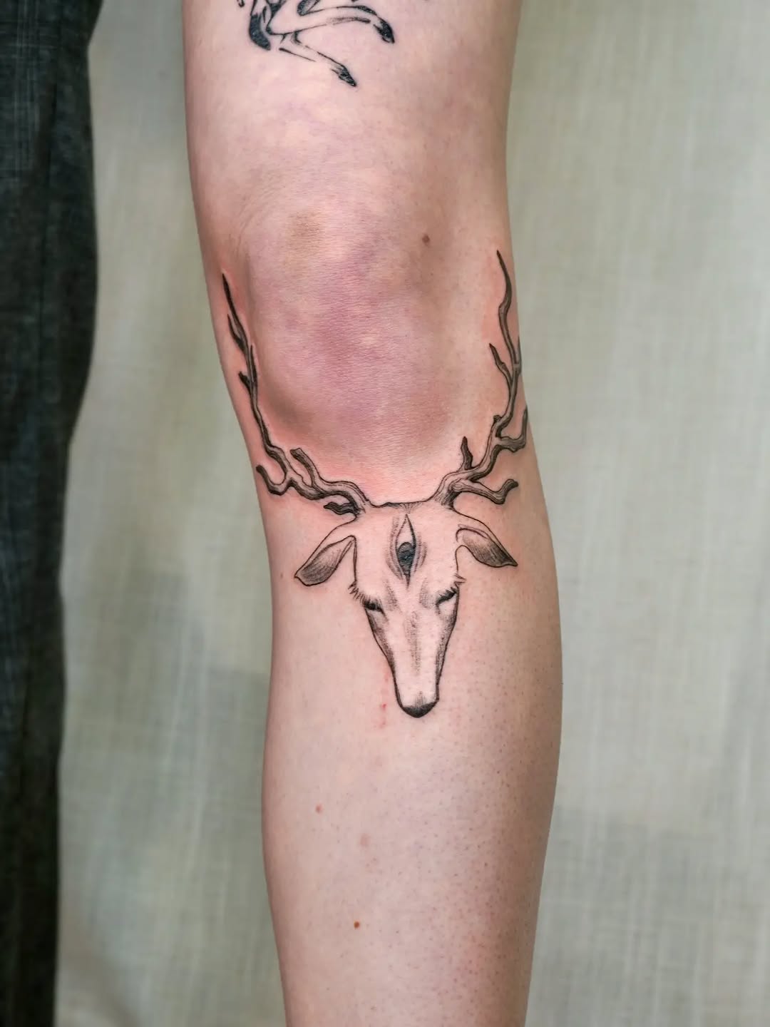 Tattoo by @maiyashu.pokes — black_and_grey, realism